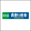 東京海上日動あんしん生命 長割り終身