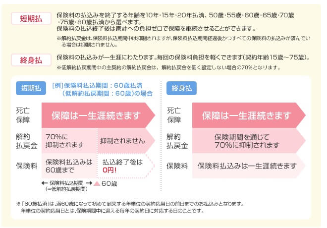 低解約返戻金型終身保険を短期払いと終身払いにした場合の解約返戻金の増減イメージ
