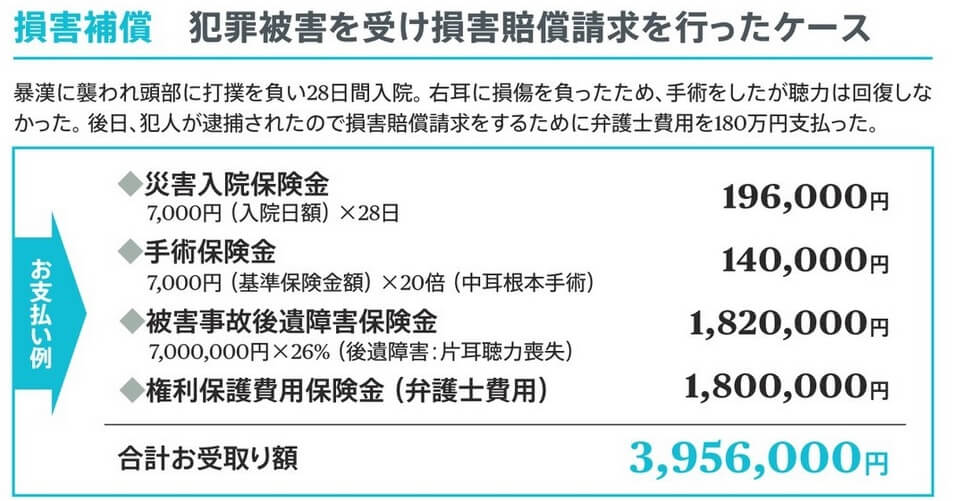 まかせて安心医療保険の損害賠償請求例(出典:Chubb損害保険 まかせて安心医療保険 商品パンフレット)