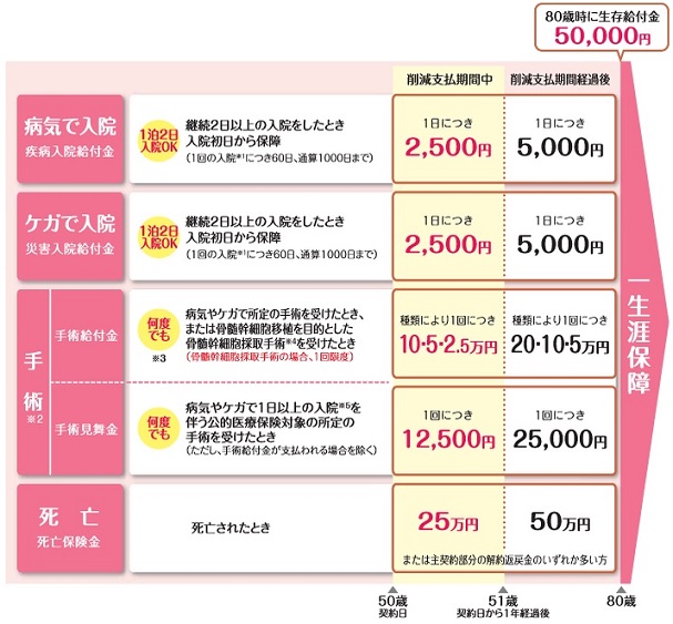 損保ジャパン日本興亜ひまわり生命 限定告知型医療保険の仕組み・保障・保険料・告知内容・特約など